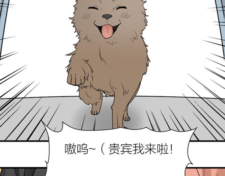 降智小甜饼韩漫全集-第272-273话 温暖的狗狗无删减无遮挡章节图片 