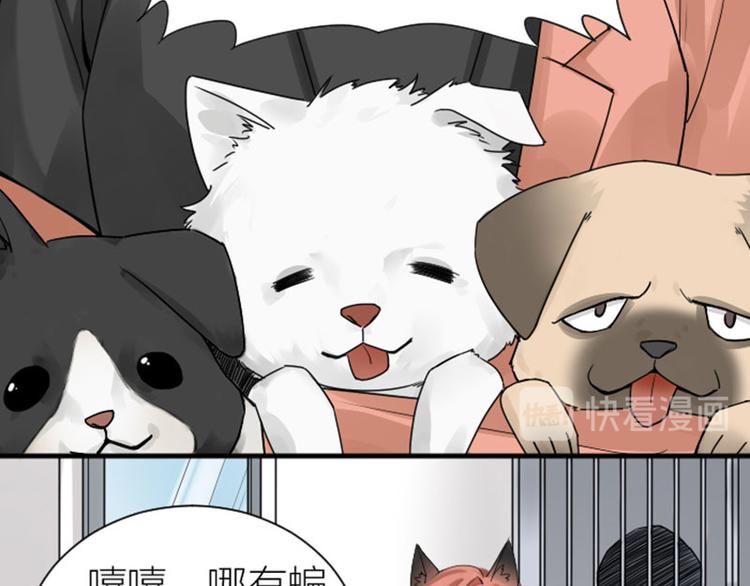 降智小甜饼韩漫全集-第272-273话 温暖的狗狗无删减无遮挡章节图片 