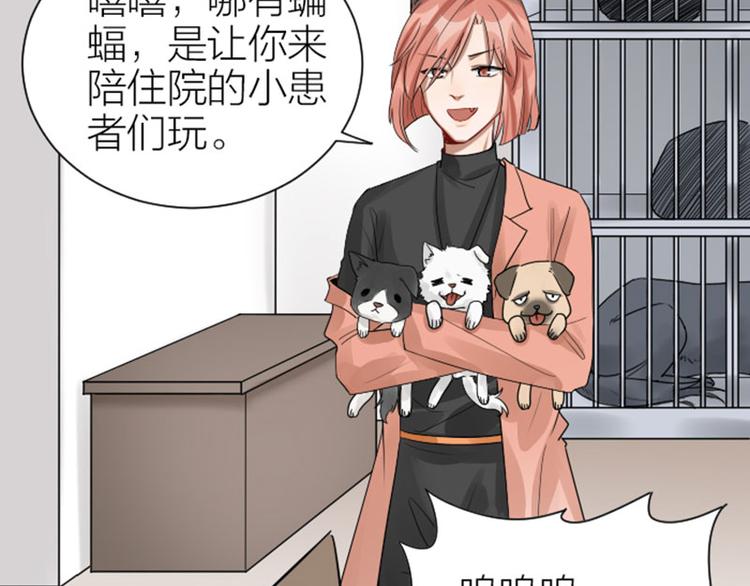 降智小甜饼韩漫全集-第272-273话 温暖的狗狗无删减无遮挡章节图片 