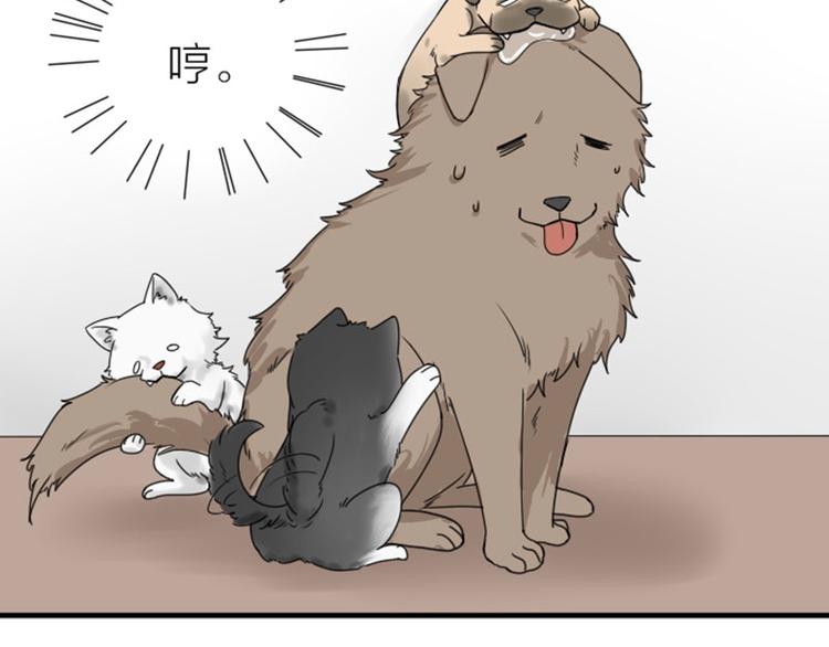 降智小甜饼韩漫全集-第272-273话 温暖的狗狗无删减无遮挡章节图片 