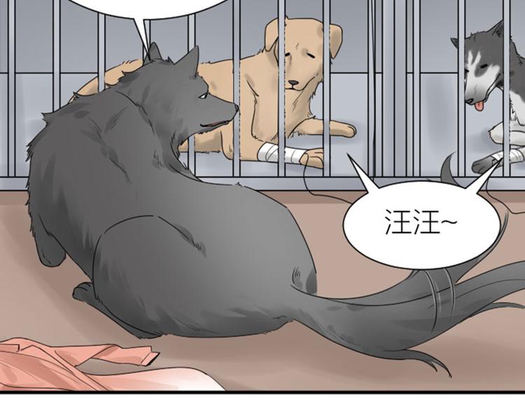 降智小甜饼韩漫全集-第272-273话 温暖的狗狗无删减无遮挡章节图片 