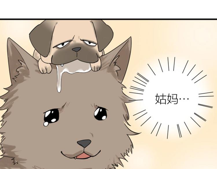 降智小甜饼韩漫全集-第272-273话 温暖的狗狗无删减无遮挡章节图片 