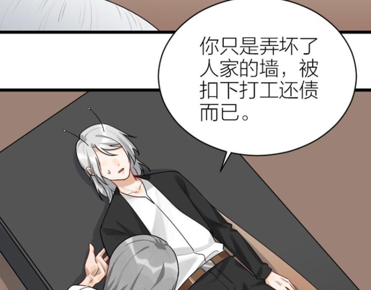 降智小甜饼韩漫全集-第312-313话 强势回归无删减无遮挡章节图片 