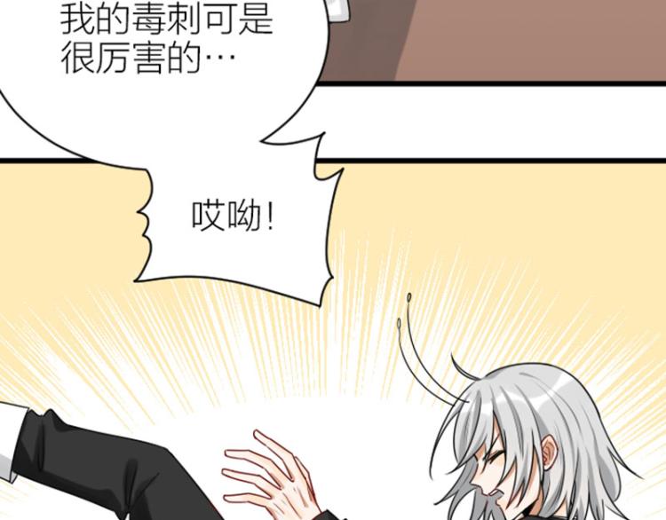 降智小甜饼韩漫全集-第312-313话 强势回归无删减无遮挡章节图片 