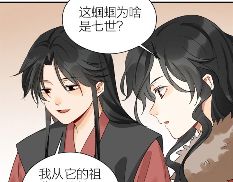 降智小甜饼韩漫全集-第362-363话 权谋！无删减无遮挡章节图片 