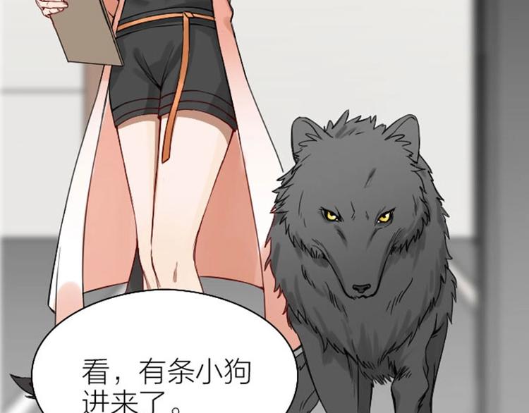 降智小甜饼韩漫全集-第101-103话 其乐融融无删减无遮挡章节图片 