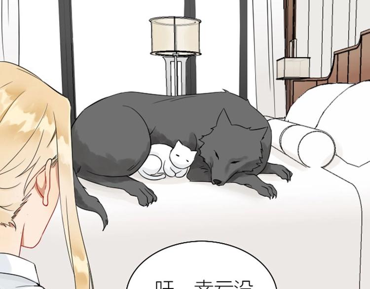 降智小甜饼韩漫全集-第112-113话 蓝颜祸水无删减无遮挡章节图片 