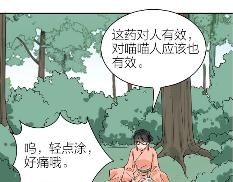 降智小甜饼韩漫全集-第142话-第143话 猫藓无删减无遮挡章节图片 