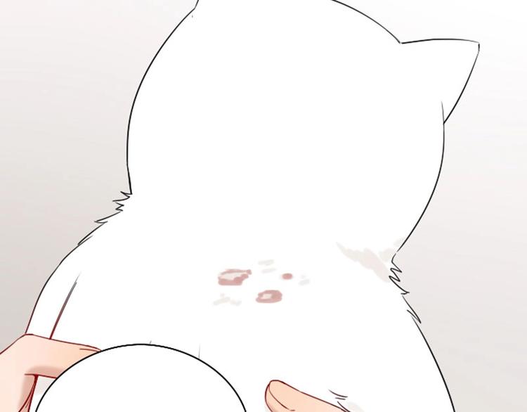 降智小甜饼韩漫全集-第142话-第143话 猫藓无删减无遮挡章节图片 