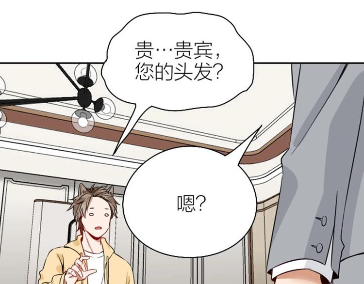 降智小甜饼韩漫全集-第146话-第147话 变光头无删减无遮挡章节图片 