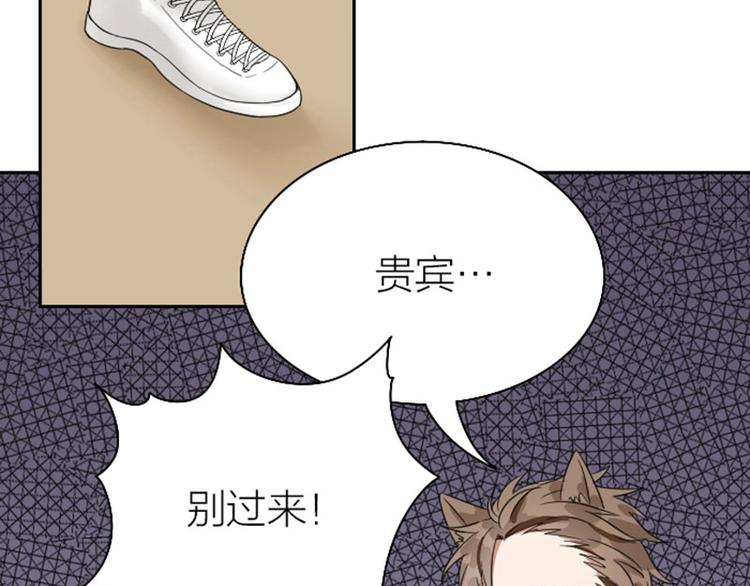 降智小甜饼韩漫全集-第148话-第149话 光头无删减无遮挡章节图片 
