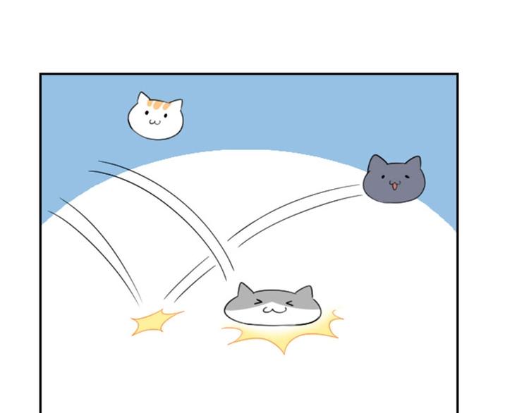 降智小甜饼韩漫全集-第156-第157话 变猫猫！无删减无遮挡章节图片 