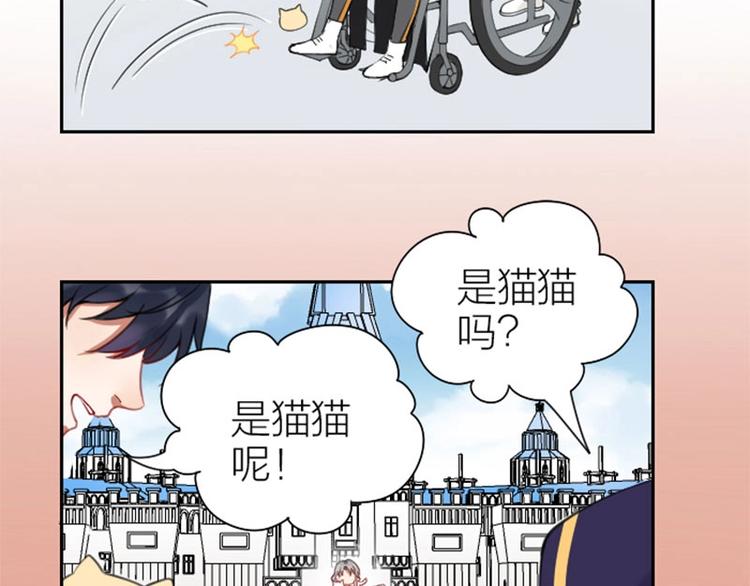降智小甜饼韩漫全集-第156-第157话 变猫猫！无删减无遮挡章节图片 