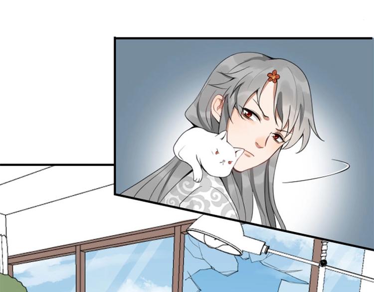 降智小甜饼韩漫全集-第156-第157话 变猫猫！无删减无遮挡章节图片 
