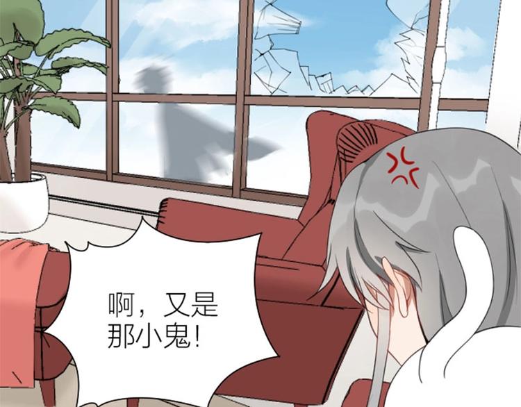 降智小甜饼韩漫全集-第156-第157话 变猫猫！无删减无遮挡章节图片 