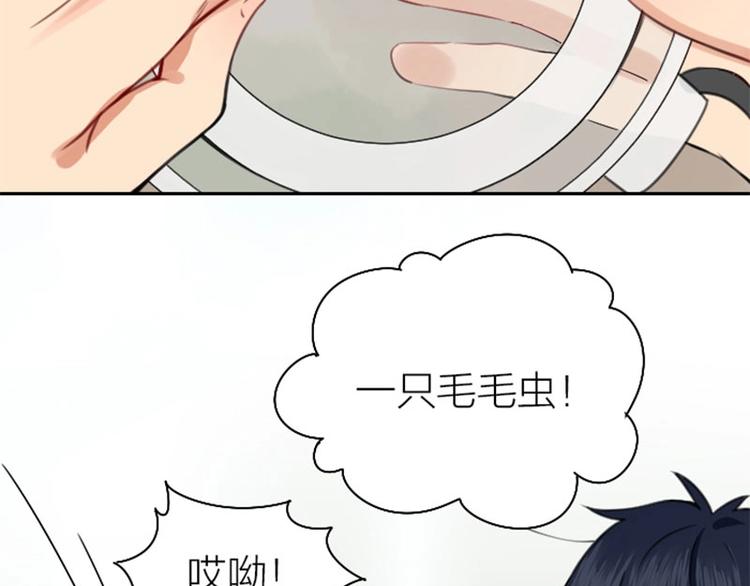 降智小甜饼韩漫全集-第166-第167话 失忆粉无删减无遮挡章节图片 