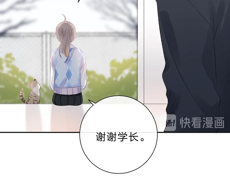 渐近的心跳韩漫全集-第79话  抉择之时无删减无遮挡章节图片 