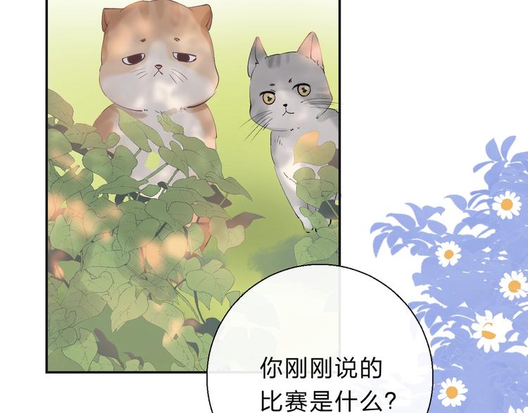 渐近的心跳韩漫全集-第79话  抉择之时无删减无遮挡章节图片 