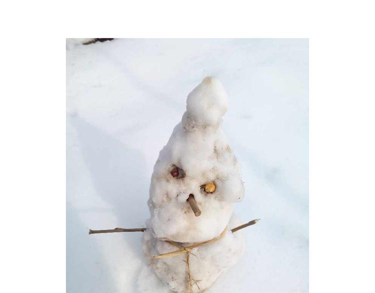 叫我森先生韩漫全集-打雪仗无删减无遮挡章节图片 