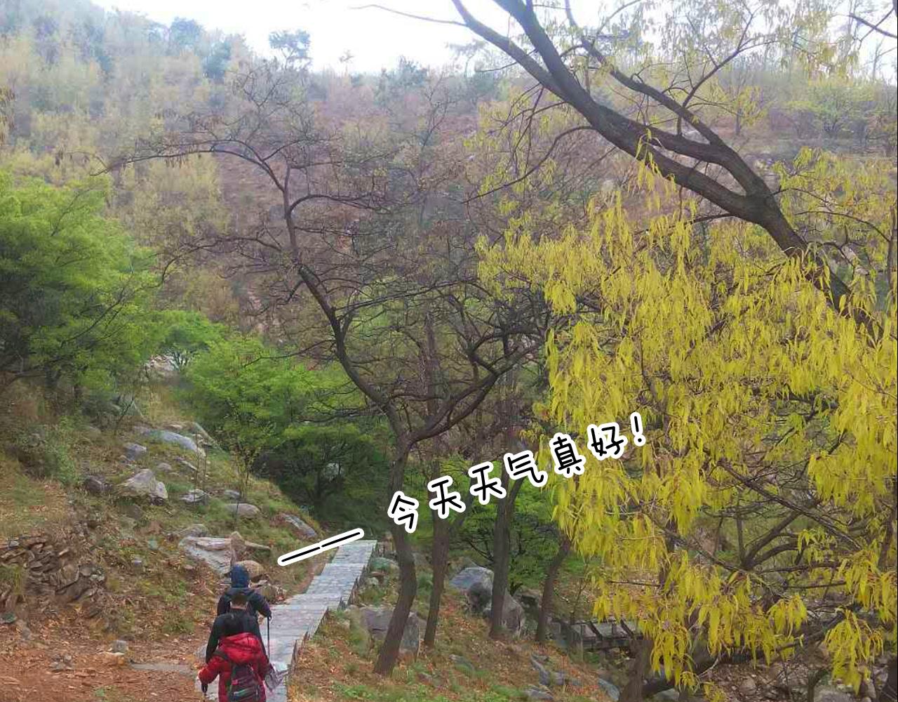 叫我森先生韩漫全集-泰山行2无删减无遮挡章节图片 
