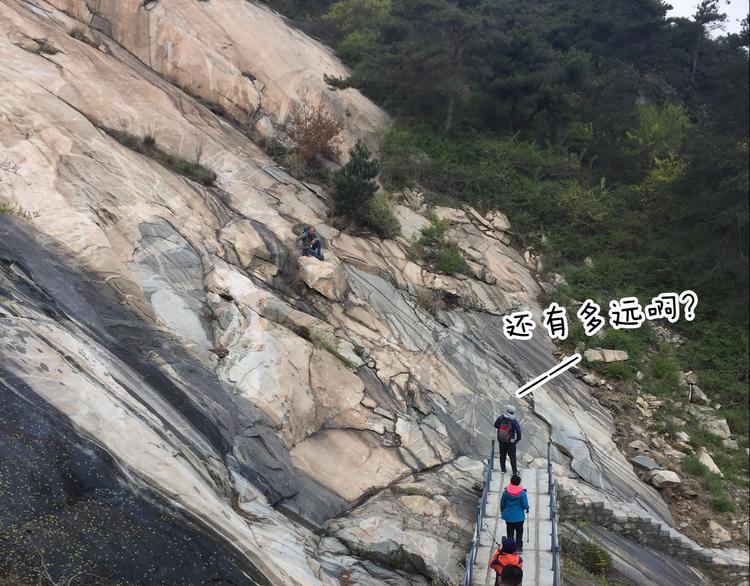 叫我森先生韩漫全集-泰山行2无删减无遮挡章节图片 