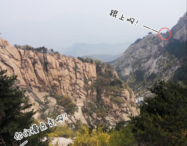 叫我森先生韩漫全集-泰山行2无删减无遮挡章节图片 