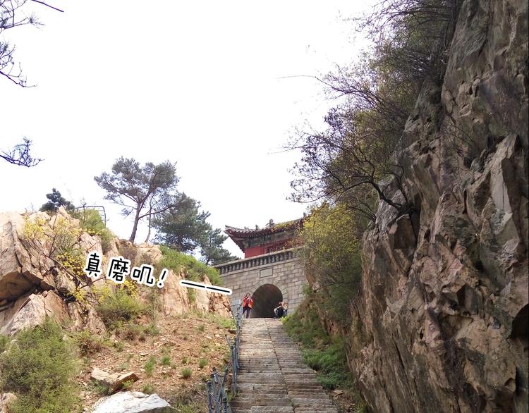 叫我森先生韩漫全集-泰山行2无删减无遮挡章节图片 