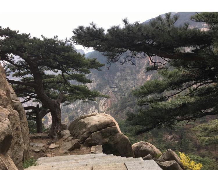 叫我森先生韩漫全集-泰山行2无删减无遮挡章节图片 