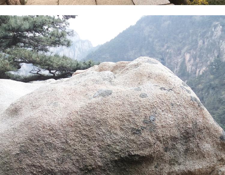 叫我森先生韩漫全集-泰山行2无删减无遮挡章节图片 