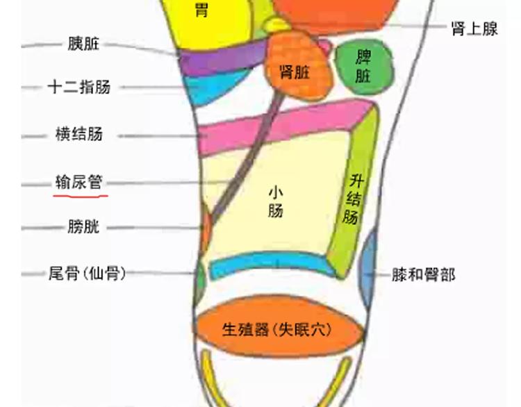 叫我森先生韩漫全集-第170话无删减无遮挡章节图片 