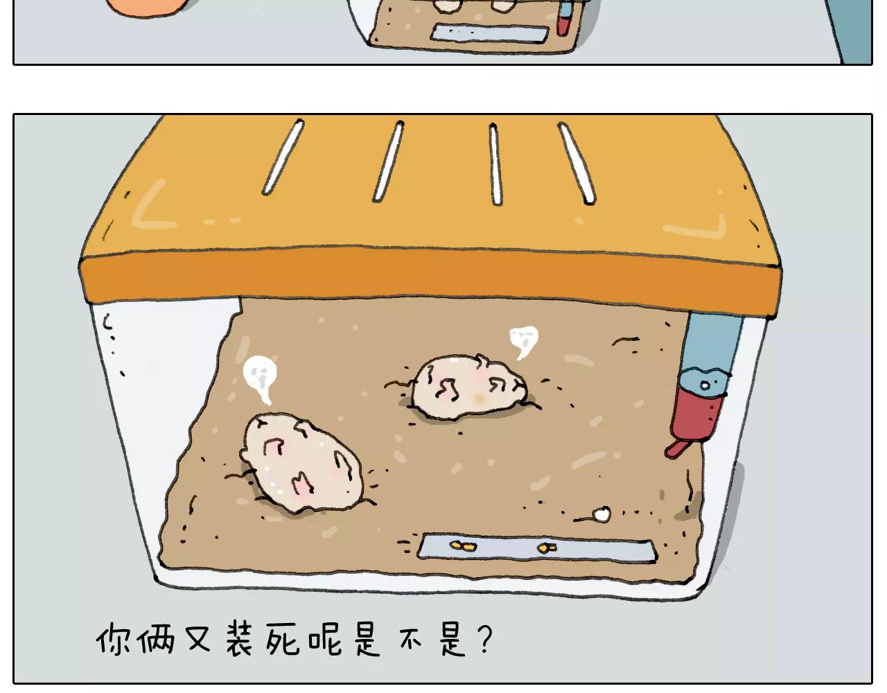 叫我森先生韩漫全集-第172话 鼠患无删减无遮挡章节图片 