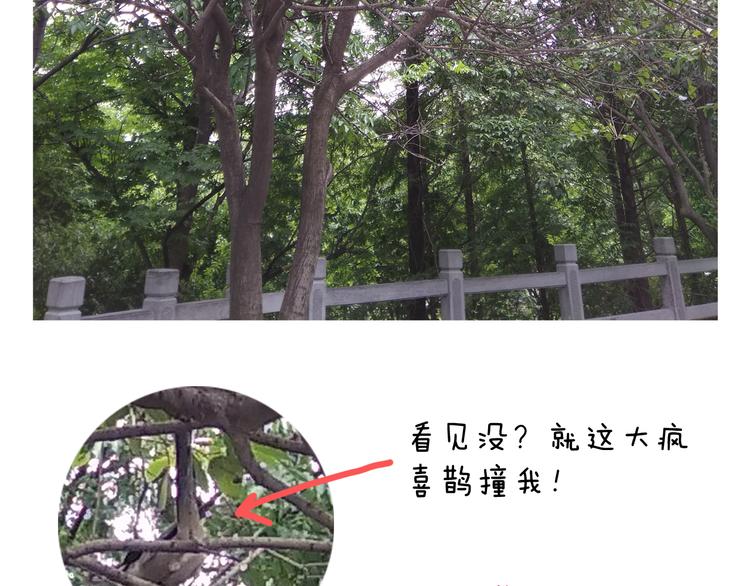 叫我森先生韩漫全集-第187话 意外伤害无删减无遮挡章节图片 
