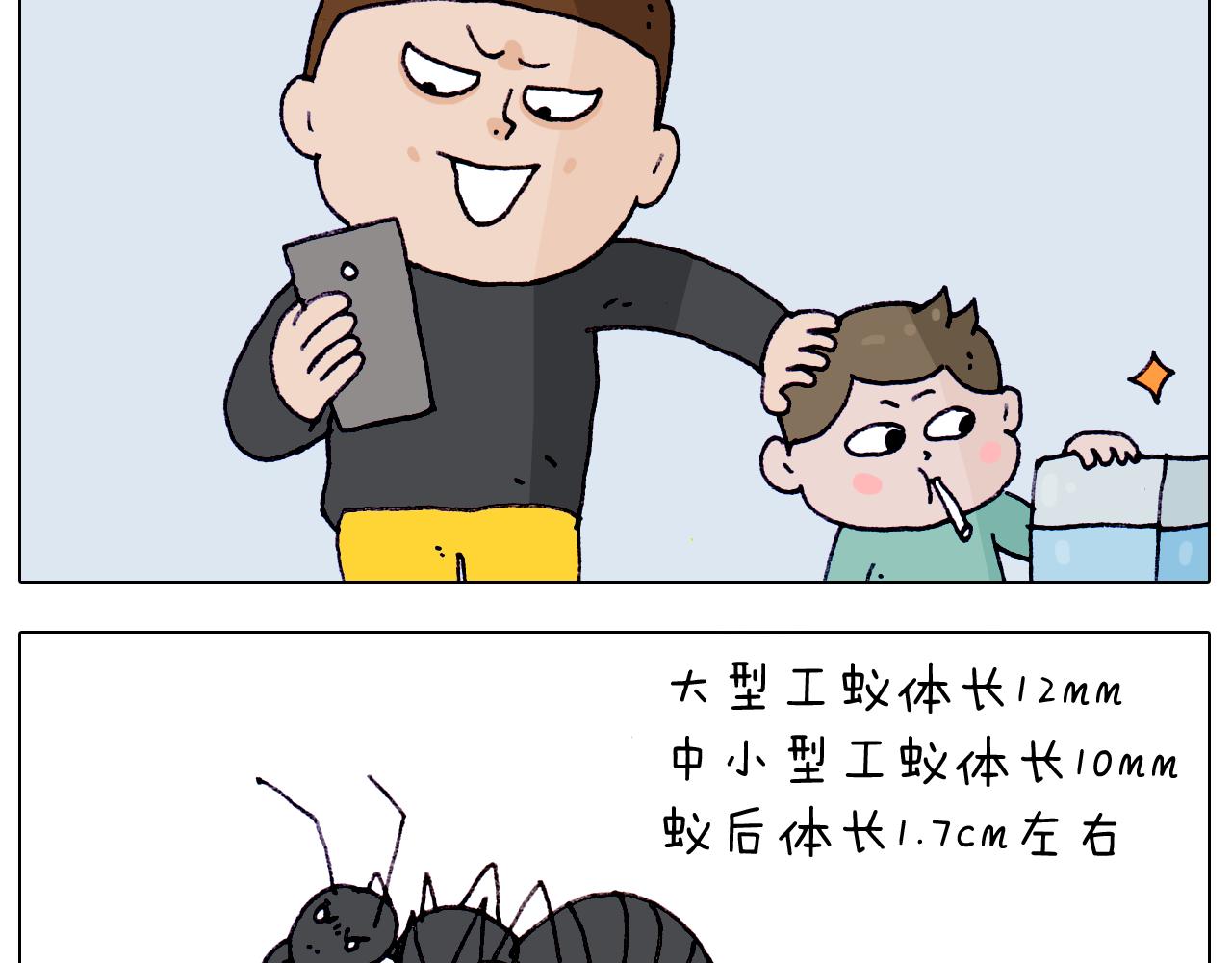 叫我森先生韩漫全集-第212话 蚂蚁侠无删减无遮挡章节图片 