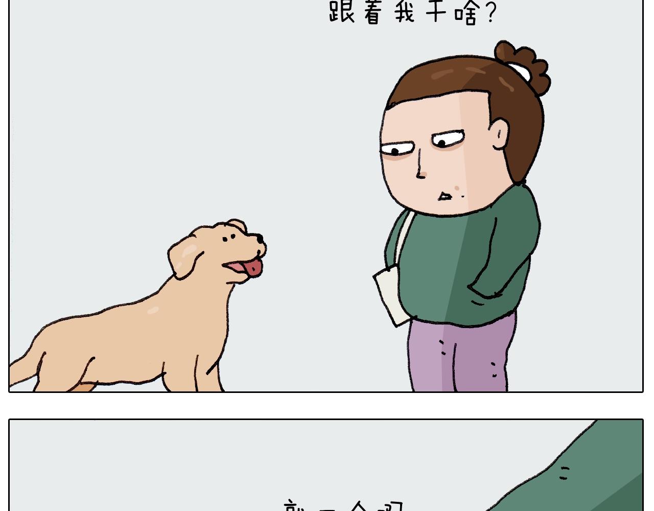 叫我森先生韩漫全集-第260话 听谁的无删减无遮挡章节图片 