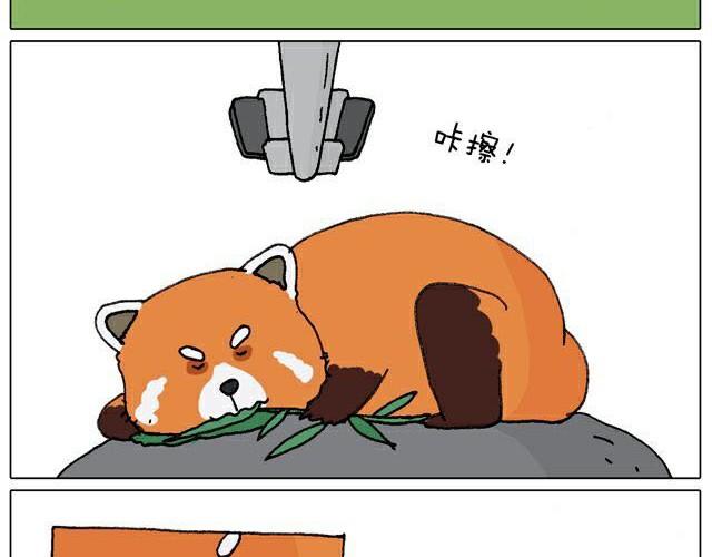 叫我森先生韩漫全集-自拍需谨慎！无删减无遮挡章节图片 