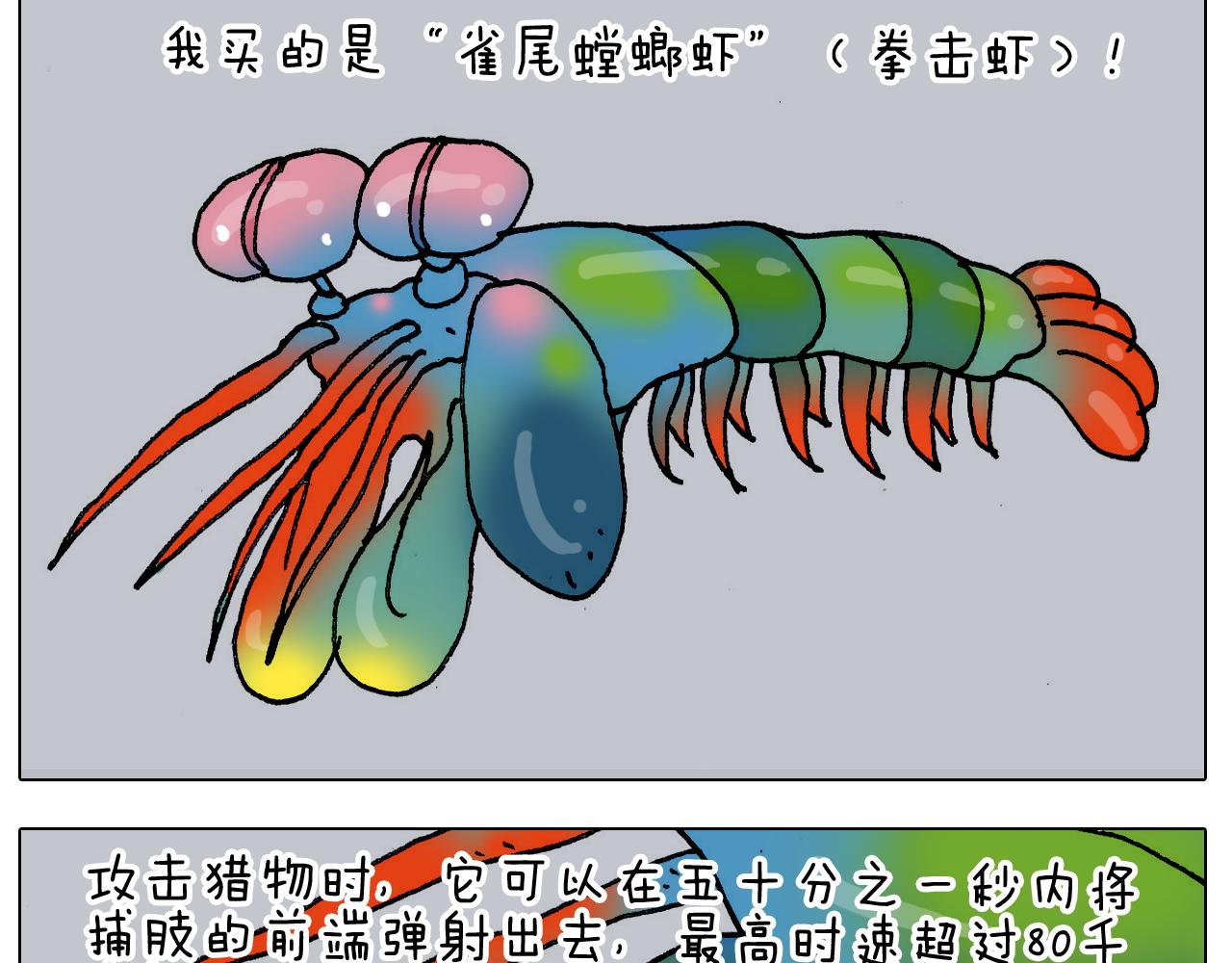叫我森先生韩漫全集-第302话 超级海鲜无删减无遮挡章节图片 