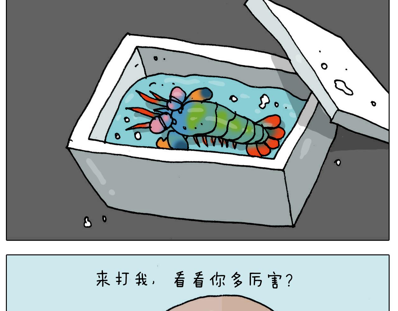 叫我森先生韩漫全集-第302话 超级海鲜无删减无遮挡章节图片 