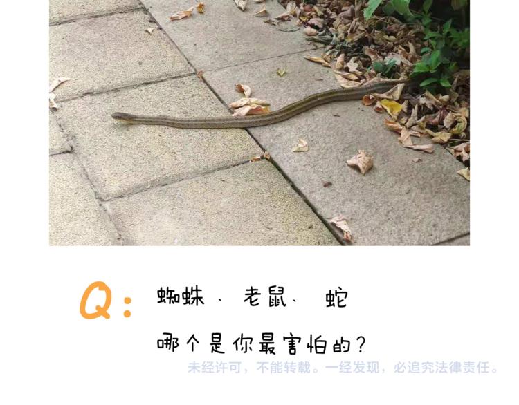 叫我森先生韩漫全集-第351话 血脉压制无删减无遮挡章节图片 