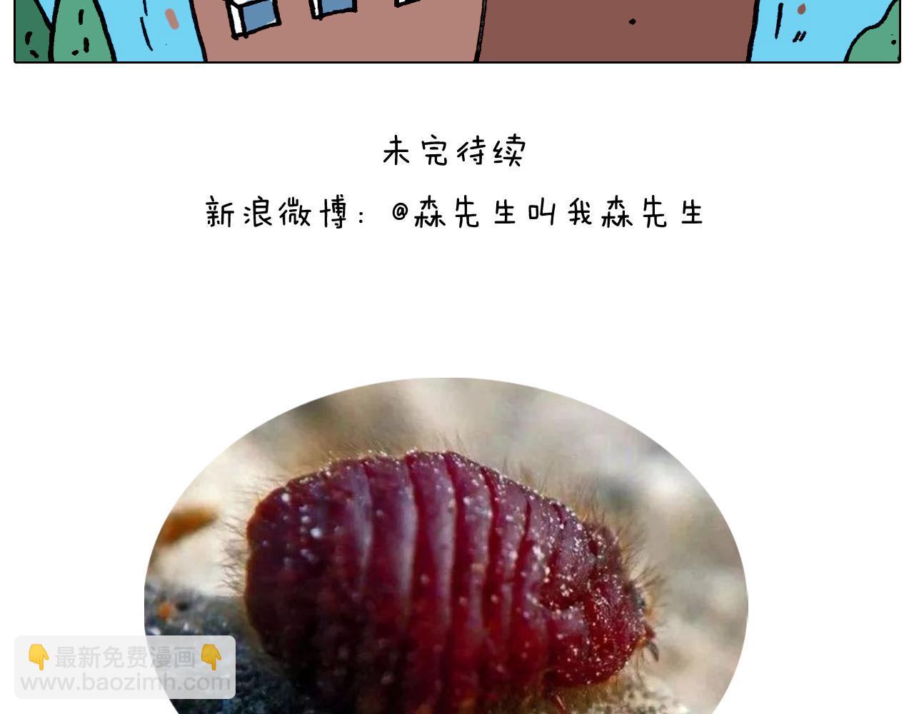 叫我森先生韩漫全集-第352话 你还不知道吧无删减无遮挡章节图片 