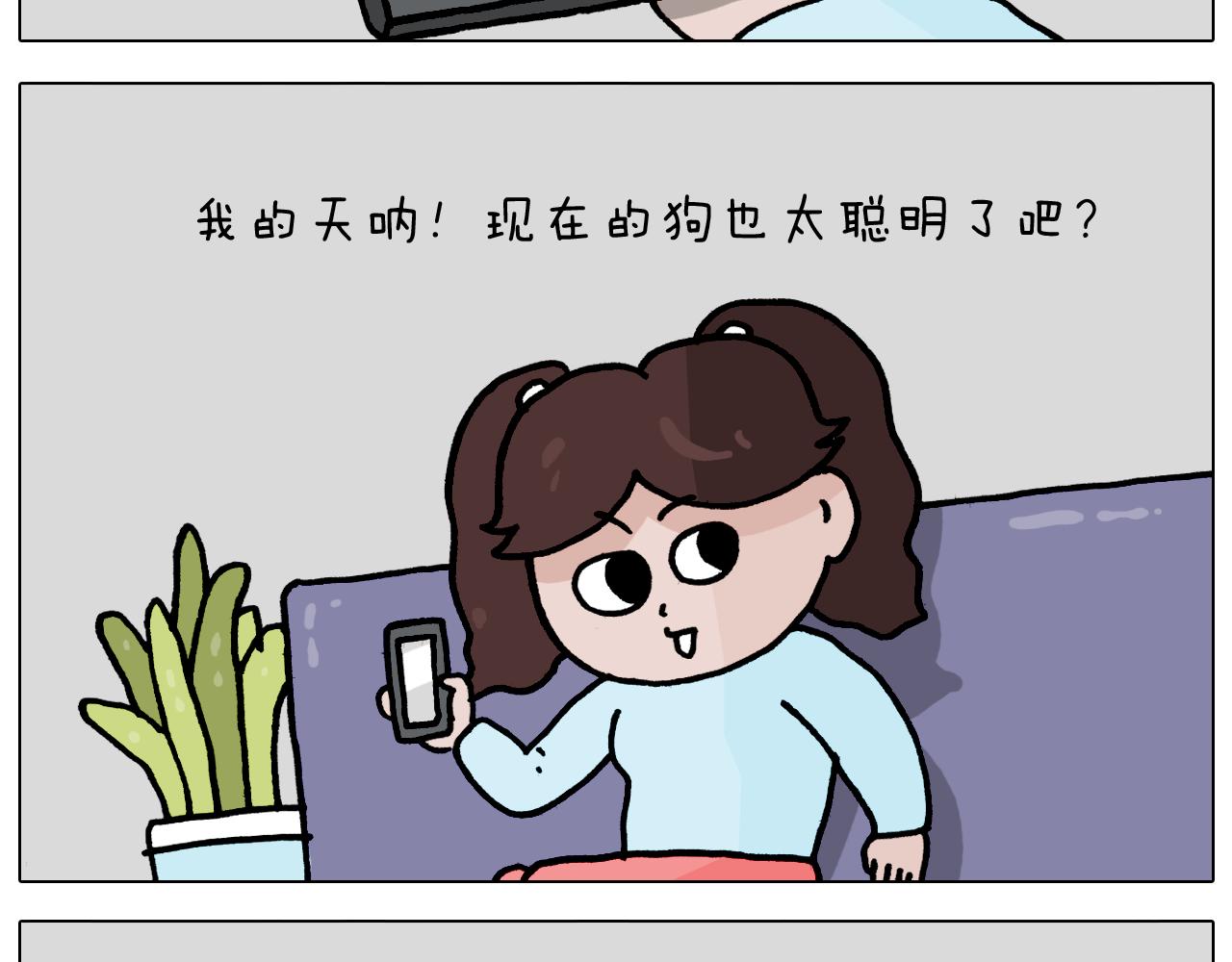 叫我森先生韩漫全集-第364话 聪明狗无删减无遮挡章节图片 
