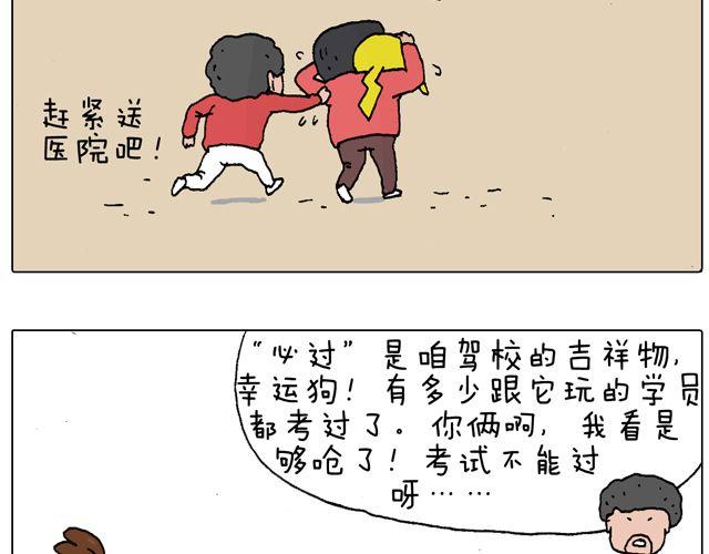 叫我森先生韩漫全集-驾照必过宝典，不看后悔！无删减无遮挡章节图片 