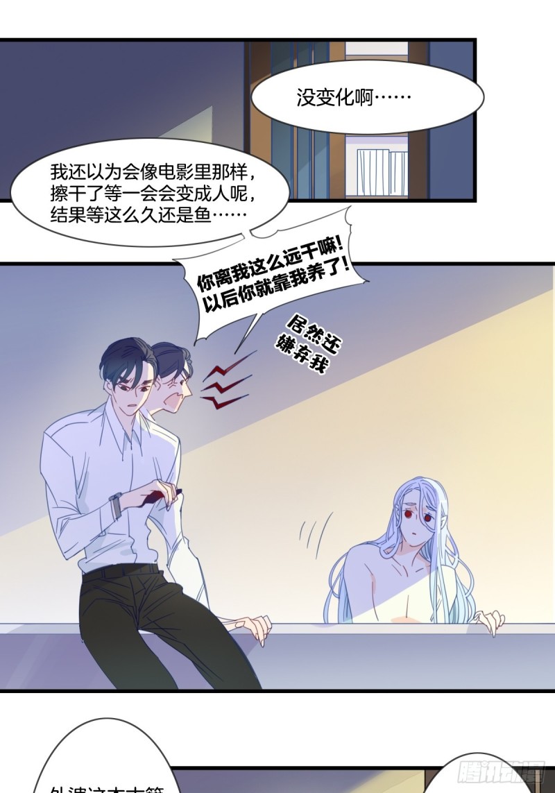家养美人韩漫全集-第十四话无删减无遮挡章节图片 