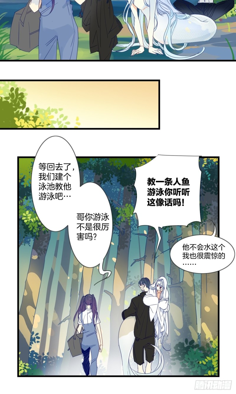 家养美人韩漫全集-第十六话无删减无遮挡章节图片 