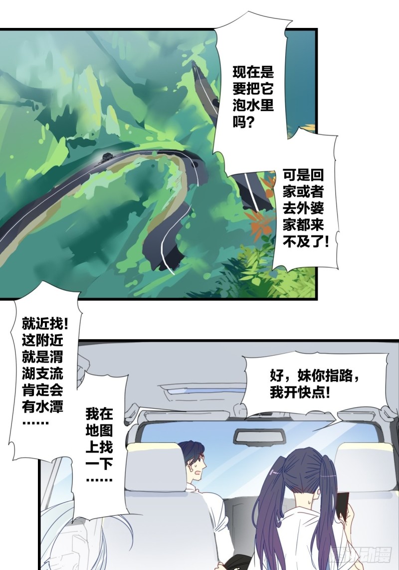 家养美人韩漫全集-第十六话无删减无遮挡章节图片 