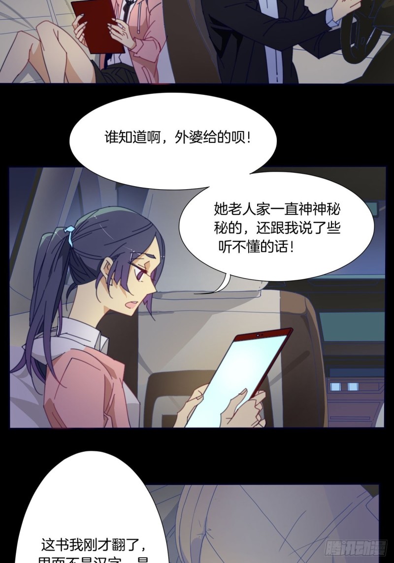 家养美人韩漫全集-第二话无删减无遮挡章节图片 