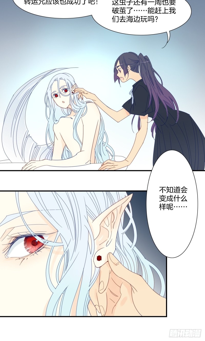 家养美人韩漫全集-二十七话无删减无遮挡章节图片 