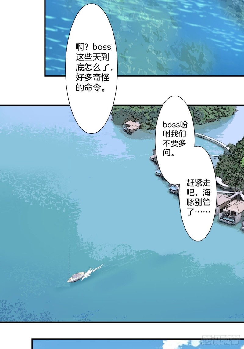 家养美人韩漫全集-三十三话无删减无遮挡章节图片 