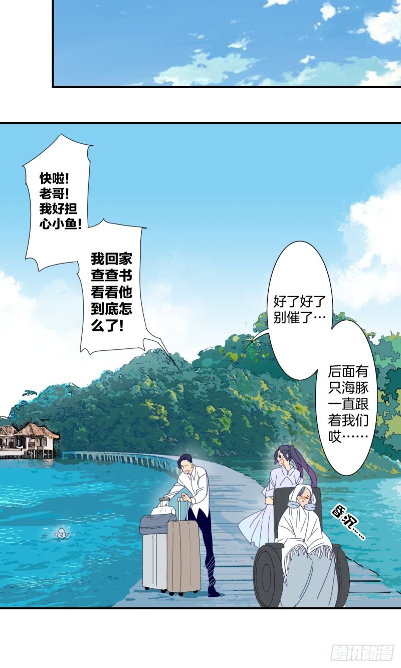 家养美人韩漫全集-三十三话无删减无遮挡章节图片 
