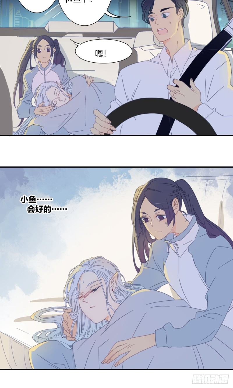 家养美人韩漫全集-三十五话无删减无遮挡章节图片 