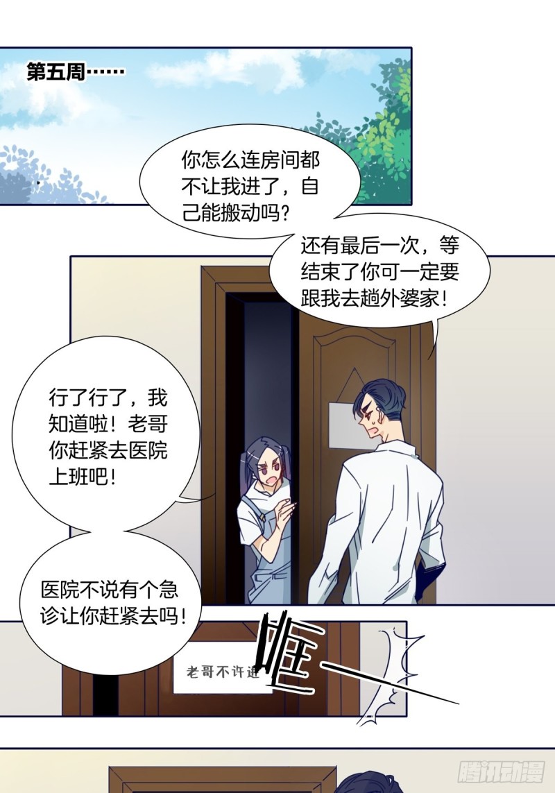 家养美人韩漫全集-第七话无删减无遮挡章节图片 